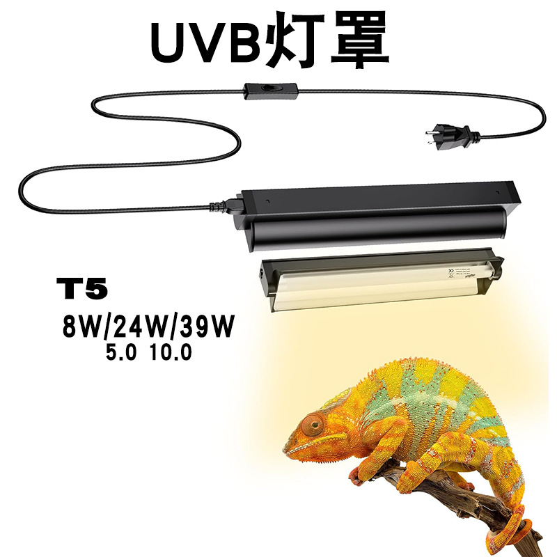 Calcium Powder Reptile - T5 UVB-Röhre mit integrierter Halterung, Glasbehälter,