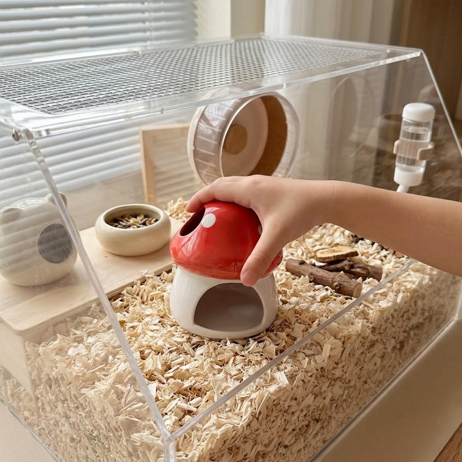 Keramik-Hamsterhaus Höhlenunte – Hide Cave Ceramic Bewertung und Preis