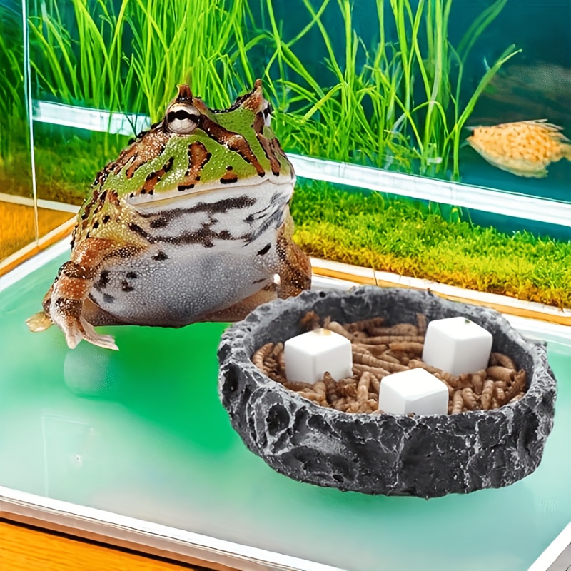 6er-Set Fischbecken-Kalziumblö – Calcium Powder Reptile Bewertung und Preis