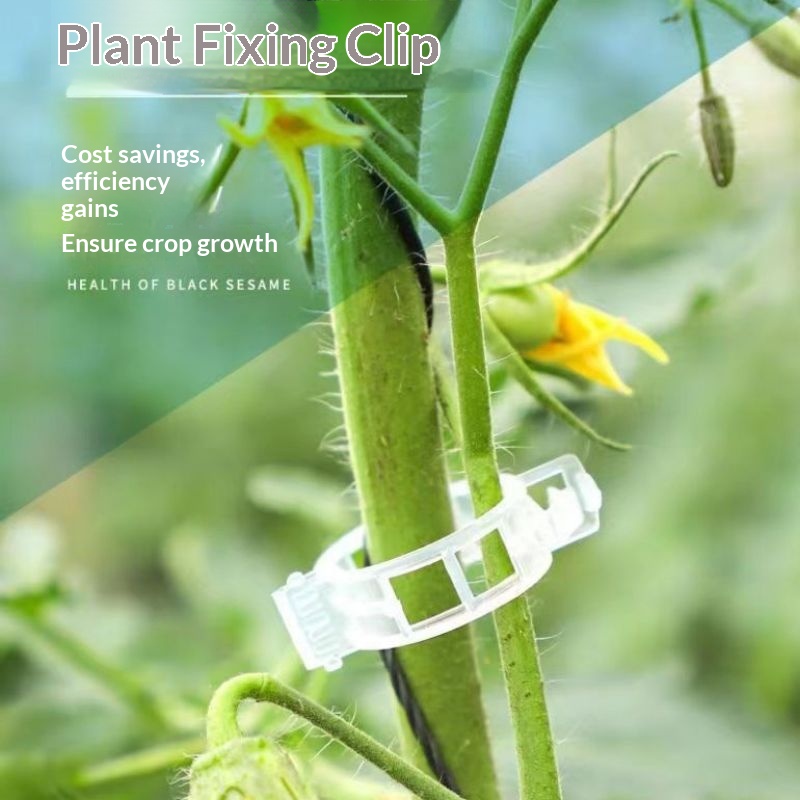 Wiederverwendbare Kunststoff-P – Vine Climbing Plastic Bewertung und Preis